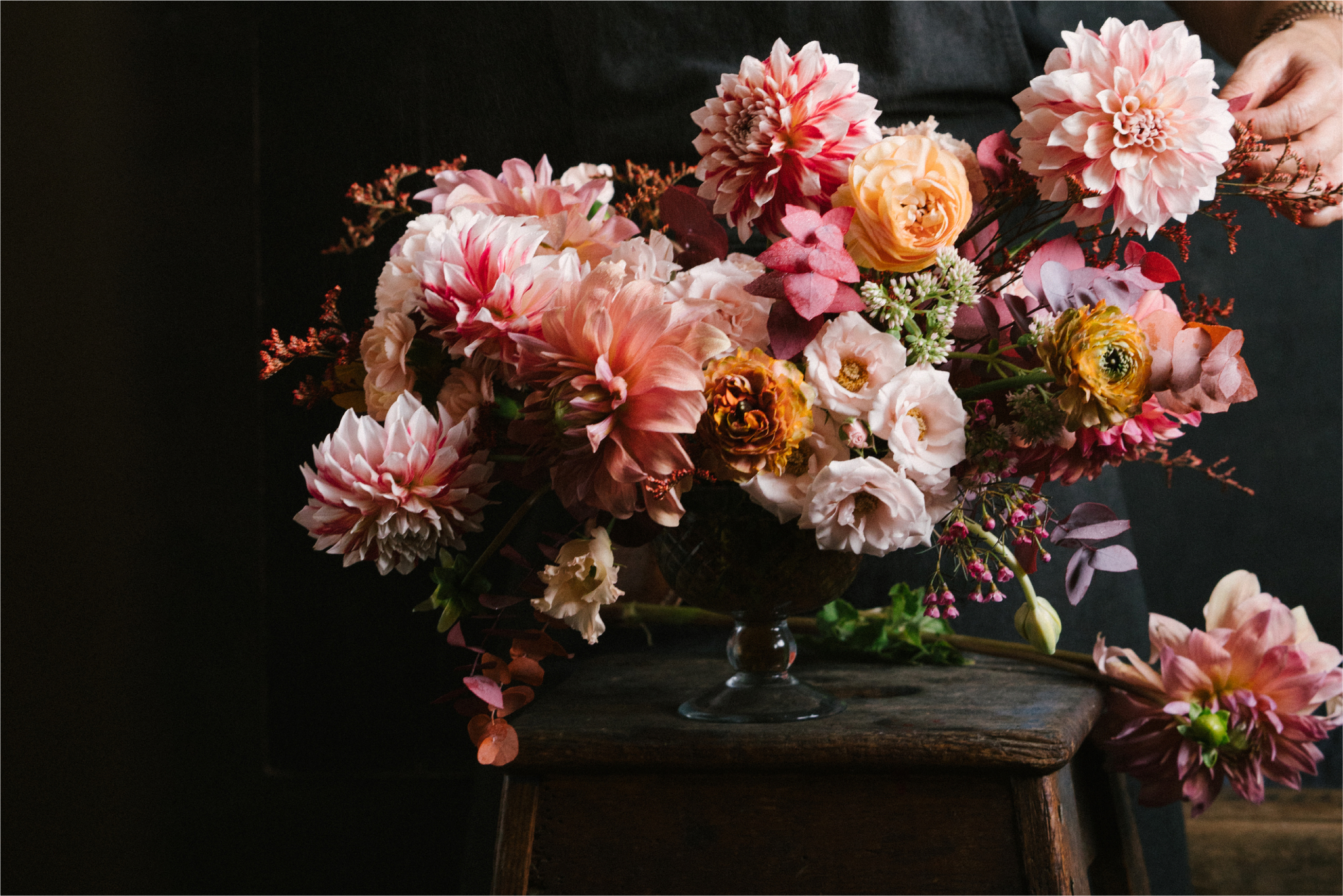 Dahlias in all shapes and colours